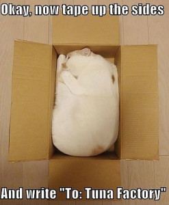cat-package